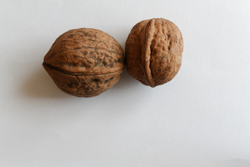 Two isolated walnut on a white background.