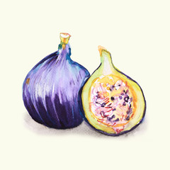 Figa - ilustracja ręcznie malowana © Edwardkarczmarski