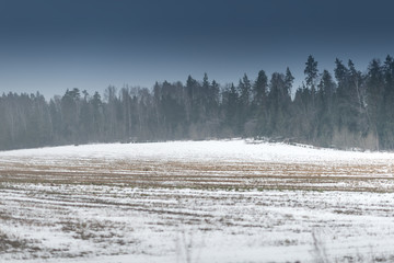 Field in winter with some snow