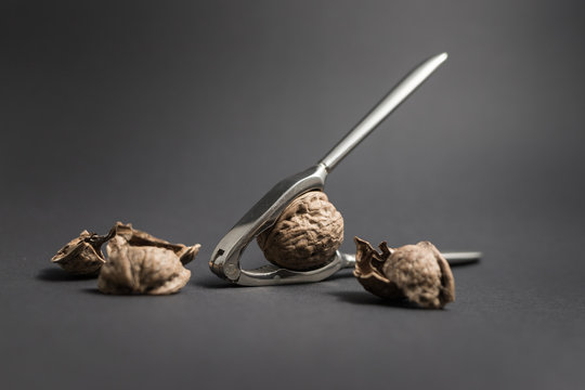 DIE 15,435 BESTEN BILDER, STOCKFOTOS UND ZU „Knarre