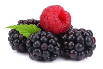 blackberries with raspberries and green leaf isolated on white background. macro