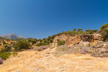 Fototapeta na wymiar Mirabello Bay on Crete, Greece