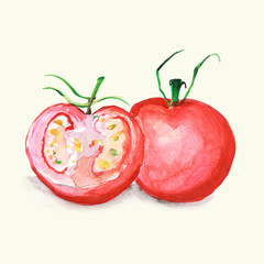 pomidor - ilustracja ręcznie malowana - obrazy, fototapety, plakaty