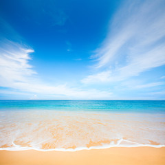 beach and beautiful tropical sea