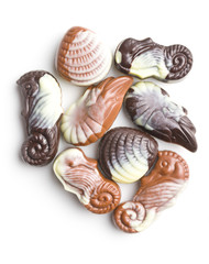 Sweet chocolate seashells.