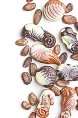 Sweet chocolate seashells and cocoa beans.