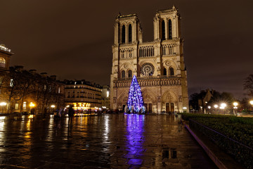Paris, France - December 7, 2017: Christmas tree in front of the Notre Dame cathedral in the evening. Paris, France.