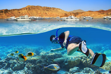 Man at snorkeling in the tropical water - obrazy, fototapety, plakaty