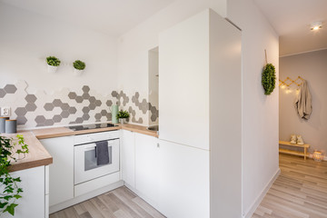 Cozy apartment with small kitchen