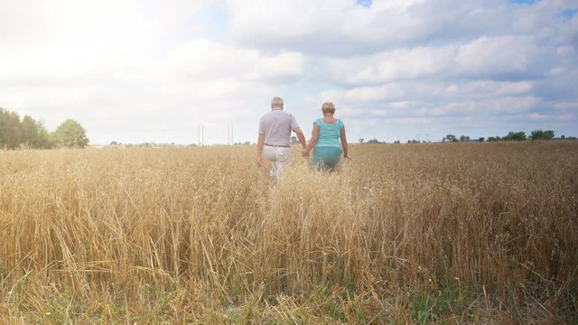 High quality video of senior couple walking in the wheat field in 4K