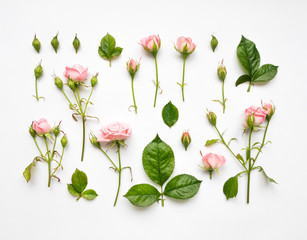 Fototapeta premium Ozdobny wzór z różowymi różami, liśćmi i pąkami na białym tle. Widok płaski, widok z góry