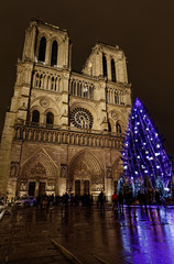 Fototapeta na wymiar Paris, France - December 7, 2017: Christmas tree in front of the Notre Dame cathedral in the evening. Paris, France.