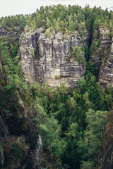 Fototapeta na wymiar Rocks near Pravcice Gate in Bohemian Switzerland region in Elbe Sandstone Mountains, Czech Republic