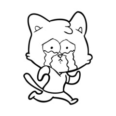 crying cartoon cat