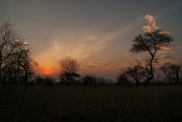 Fototapeta na wymiar Serengeti sunset