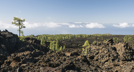 Teide mountain in Tenerife. Canary Islands