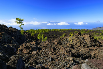 Teide mountain in Tenerife. Canary Islands