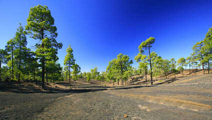 Teide mountain in Tenerife. Canary Islands
