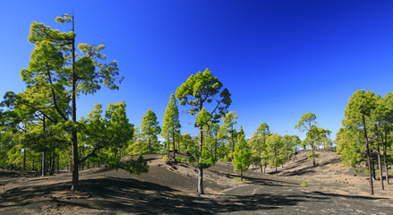 Teide mountain in Tenerife. Canary Islands