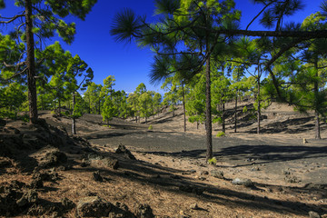 Teide mountain in Tenerife. Canary Islands