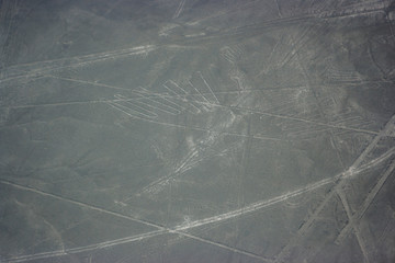 Bird figure at Nazca lines seen from the plane, Nazca lines, Peru