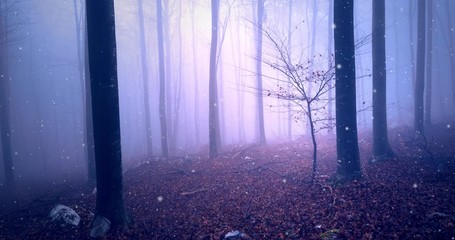 Magical pink colored foggy forest fairytale with fireflies movement.