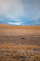 argentinian patagonia