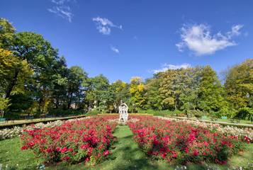 Fototapety na wymiar - Fototapeta24.pl