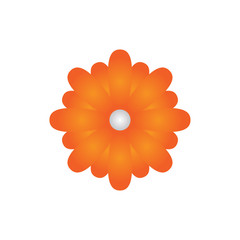 Orange flower vector