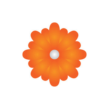 Orange flower vector