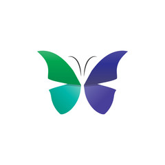 Colorful butterfly logo concept