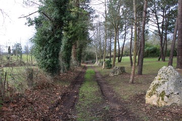Paisaje con camino