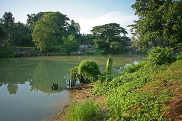 On the riverbank of the placid and calm Loboc River, near the small tourist town of Loboc, the Philippines
