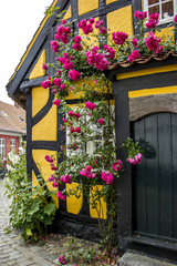 Fototapeta na wymiar Danish traditional timber brick house