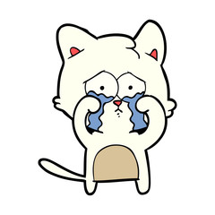 cartoon cat