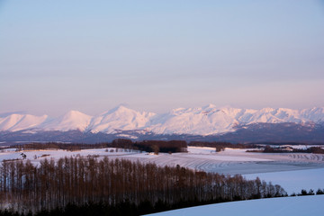 夕映えの雪山　十勝岳連峰