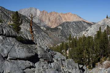 Paiute Crags from the Blue Lake Trail, John Muir Wilderness, Sierra Nevada, California (2)