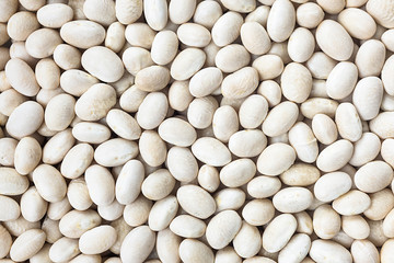 Small Navy, haricot, white pea, white kidney or Cannellini Purgatorio beans texture background or pattern. Raw food.