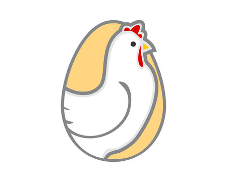 chicken egg hen poultry livestock animal image vector
