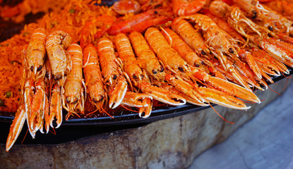 Fresh langostino at a seafood market in Brittany, France
