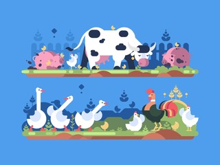 Naklejka premium Animals on farm