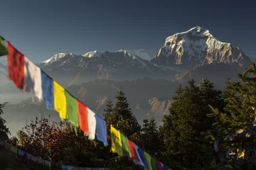 Photo sur Plexiglas Dhaulagiri Drapeaux du bouddhisme avec pic Dhaulagiri en arrière-plan au coucher du soleil dans la montagne de l& 39 Himalaya, au Népal.