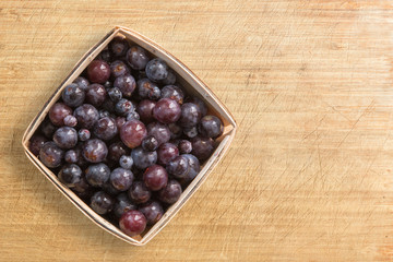 Pint container of concord grapes on a wood counter with copy space