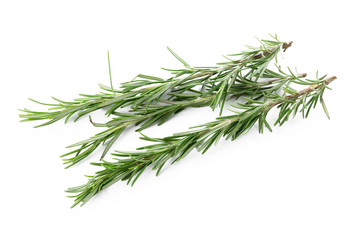 rosemary isolated on white