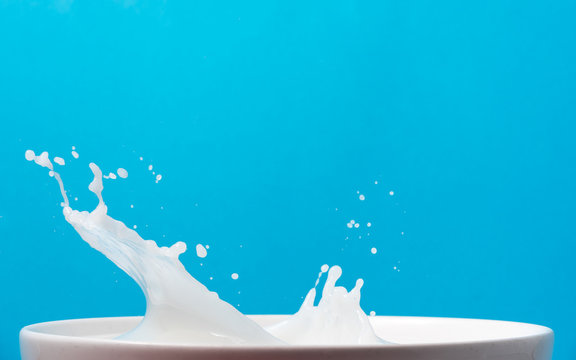 Splash of milk from a cup on blue background.