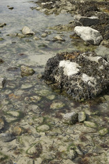 rochers sous l'eau
