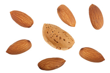 almonds isolated on white background without a shadow close up. Top view