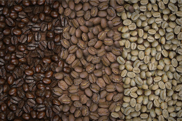 Raw, medium, and dark roasted coffee beans