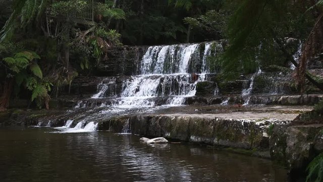 close up view of liffey falls near deloraine in tasmania