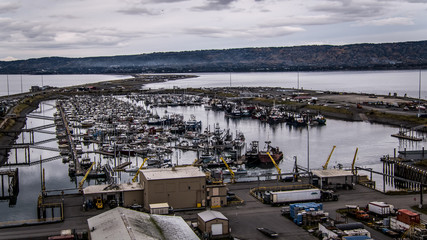 Homer Harbour